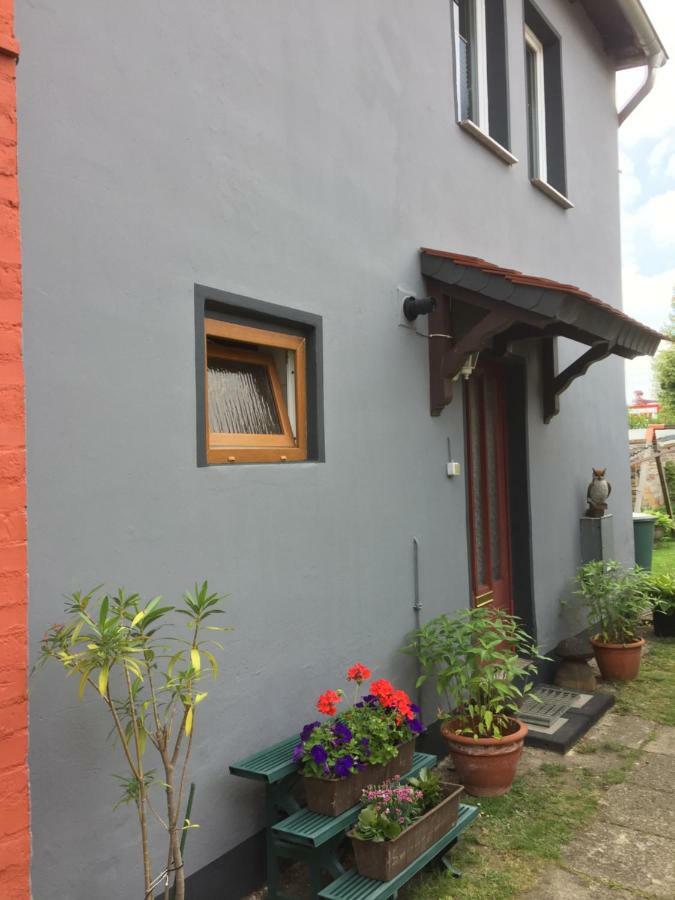 Apartments & Ferienhaus Senftner Thale Eksteriør billede